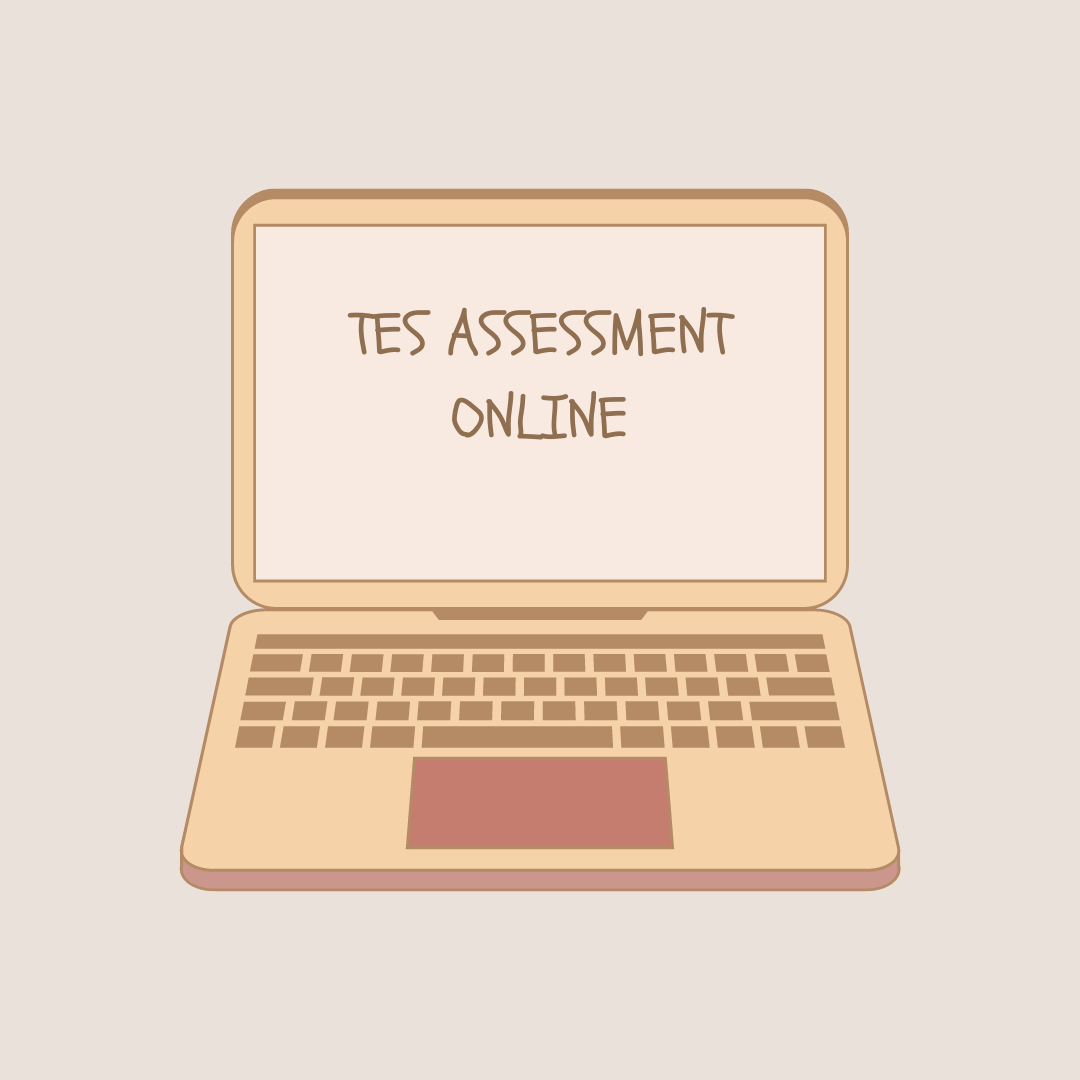 tes assessment online